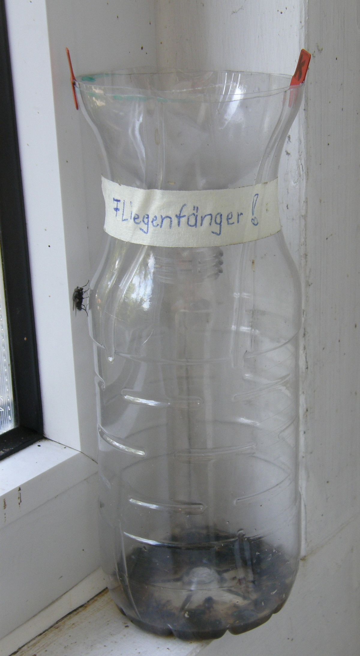 Traktfelle laget av en plastflaske for å fange fluer