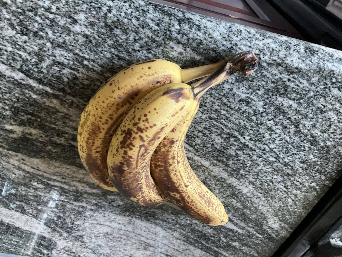 Overmodne bananer på kjøkkenet – et klassisk tilholdssted for bananfluer