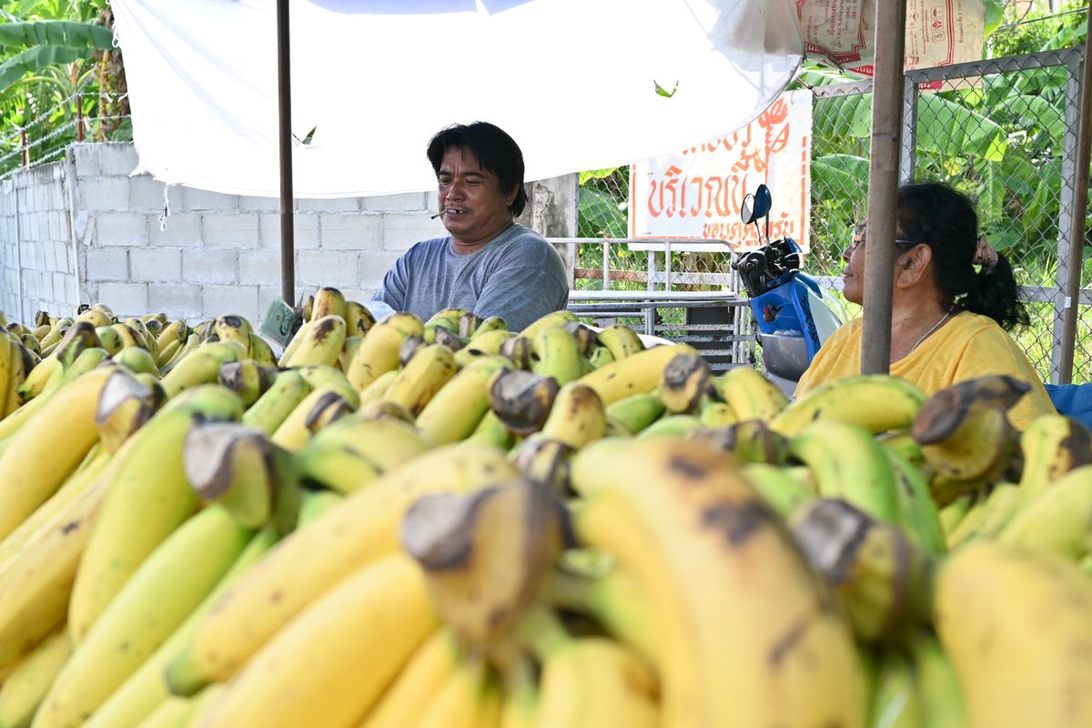 Fruktmarked med modne bananer og annen importert frukt